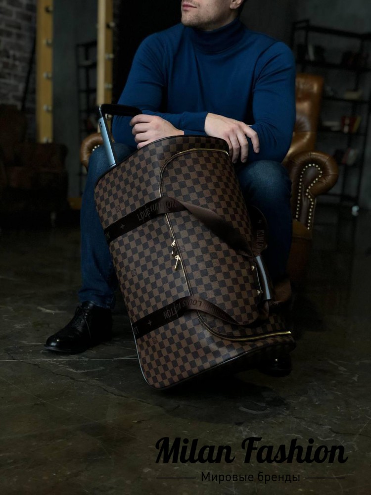 Сумка  Louis Vuitton V10876. Вид 1