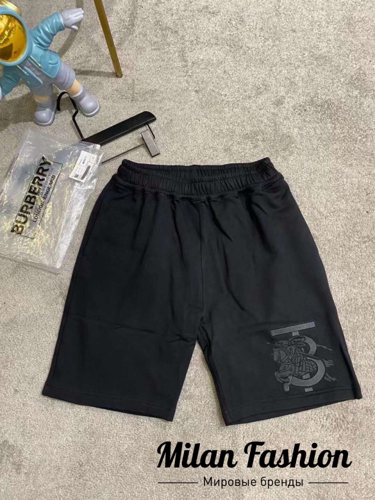 Шорты  Burberry V33496. Вид 1