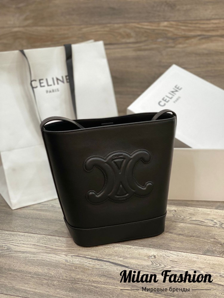 Сумка  Celine V13611. Вид 1
