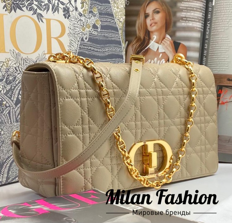 Сумка Christian Dior V6606. Вид 1