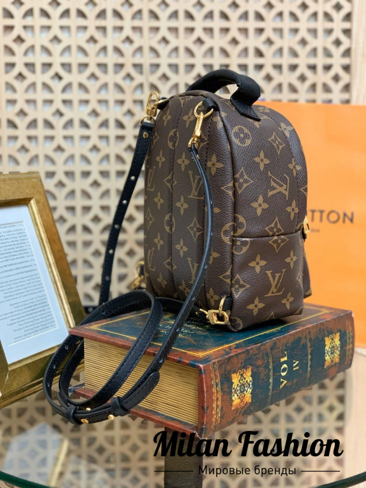 Рюкзак mеdium  Louis Vuitton v0435. Вид 3