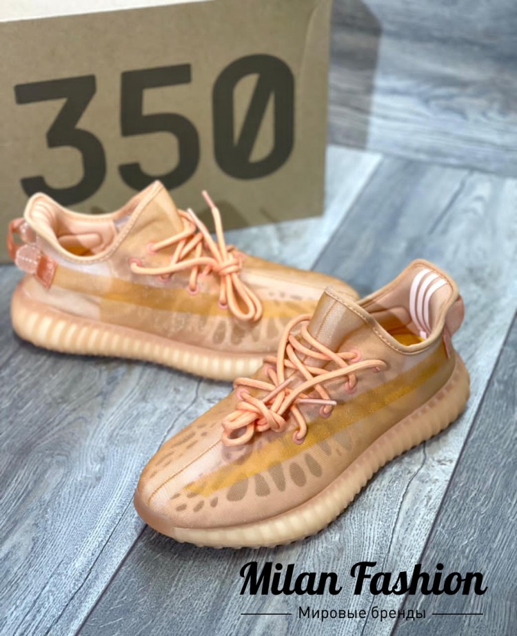 Кроссовки  Adidas Yeezy Boost V7316. Вид 1