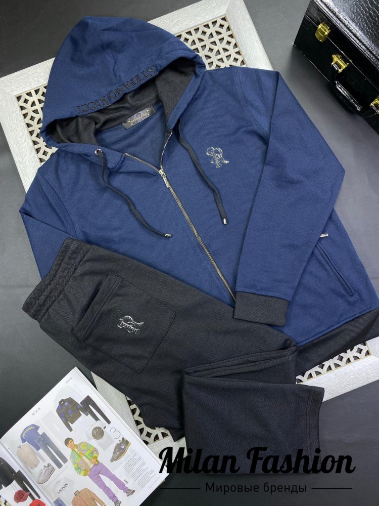 Спортивный костюм  Stefano Ricci V9561. Вид 1