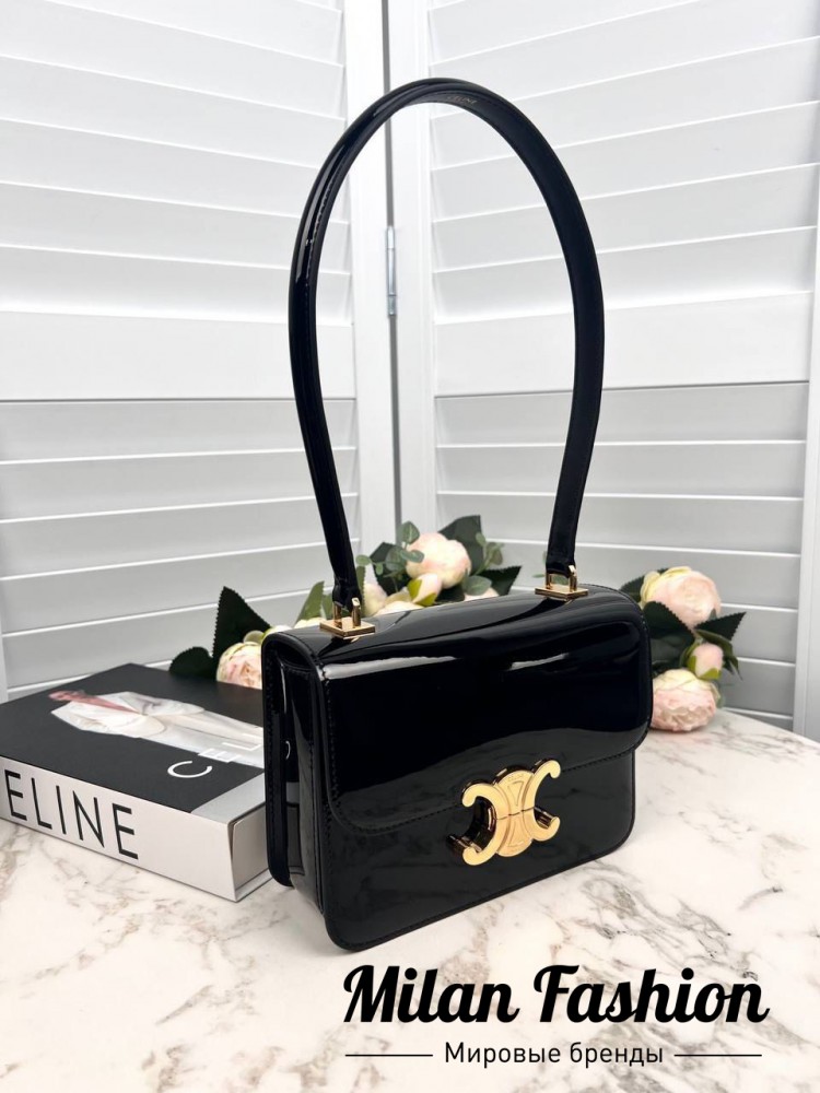 Сумка  Celine V52138. Вид 1