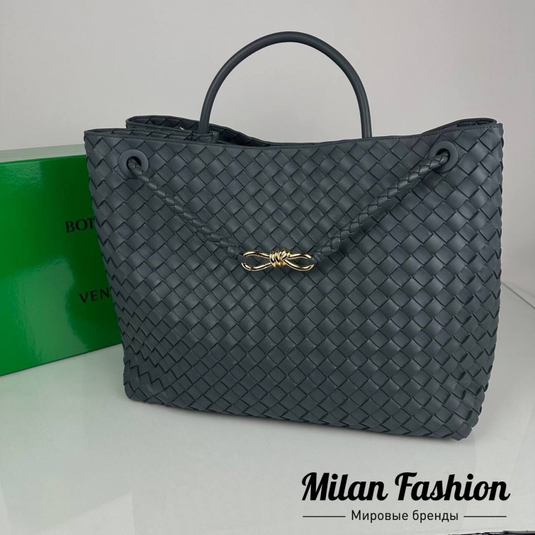 Сумка  Bottega Veneta V33905. Вид 1
