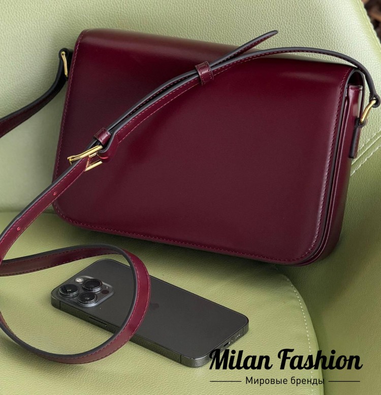 Сумка  Celine V52361. Вид 2