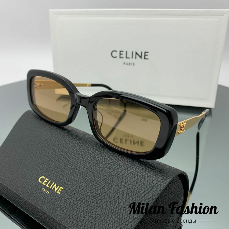 Очки  Celine V31620. Вид 1