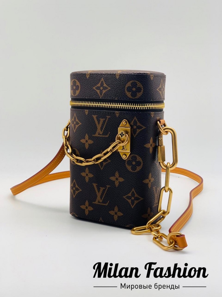 Сумка женская  Louis Vuitton v0248. Вид 1