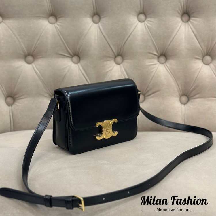 Сумка Triomphe Celine V43215. Вид 4