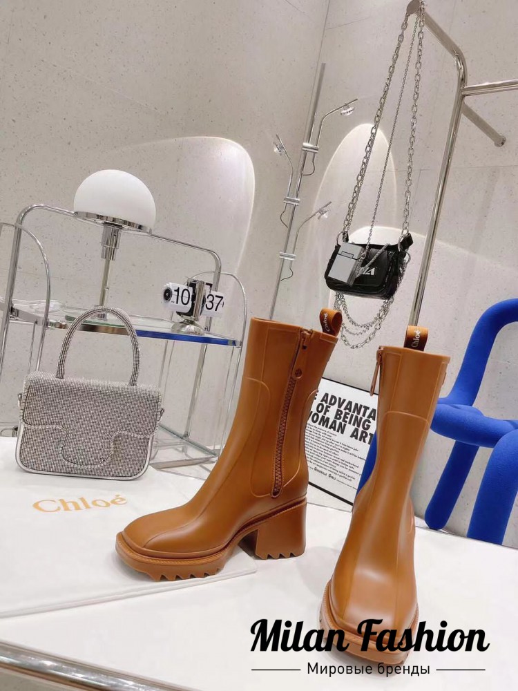 Ботинки  Chloe V10195. Вид 1