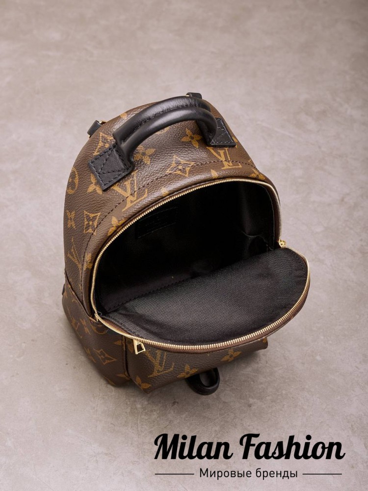 Рюкзак mеdium  Louis Vuitton v0435. Вид 4