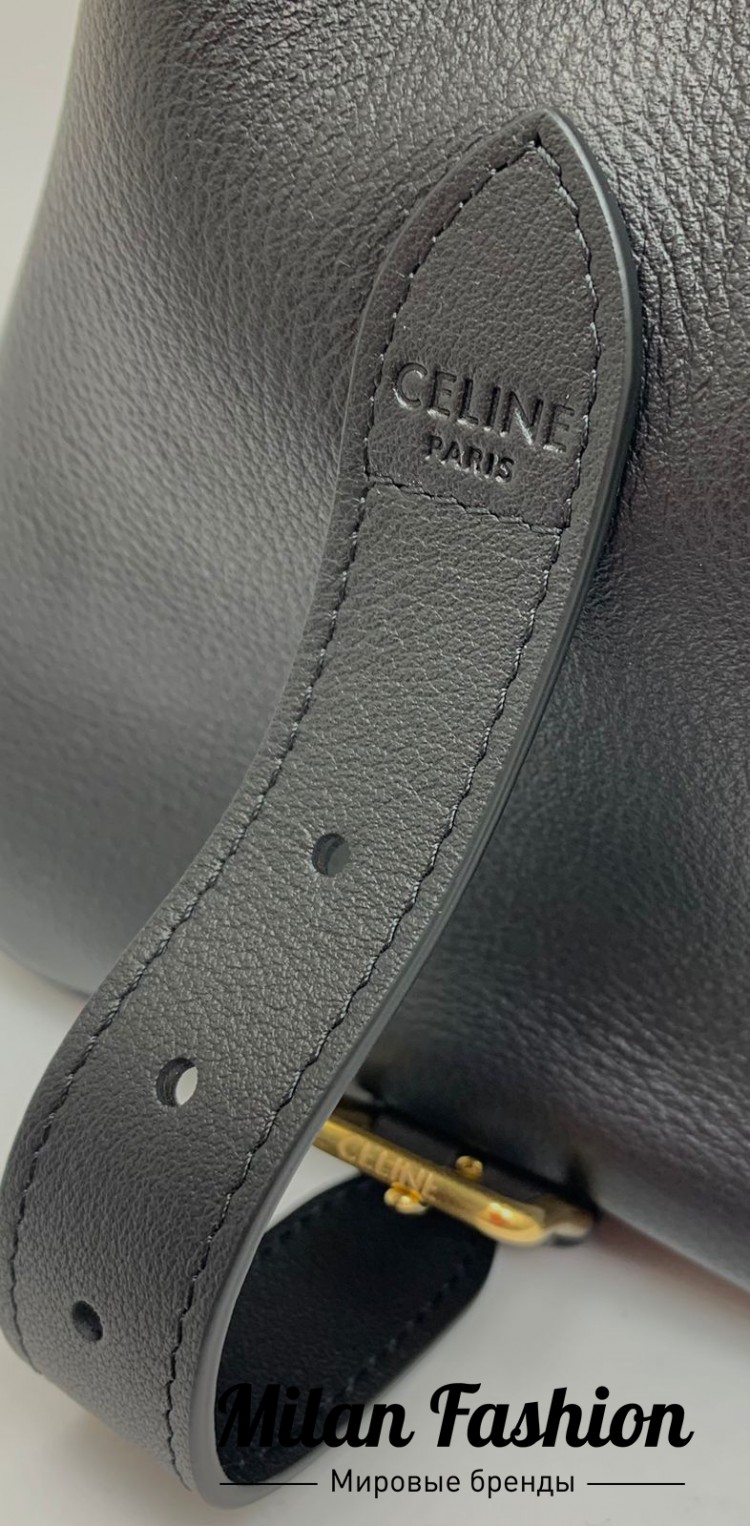 Сумка  Celine V31823. Вид 2