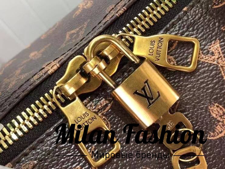 Сумка  Louis Vuitton V13649. Вид 7