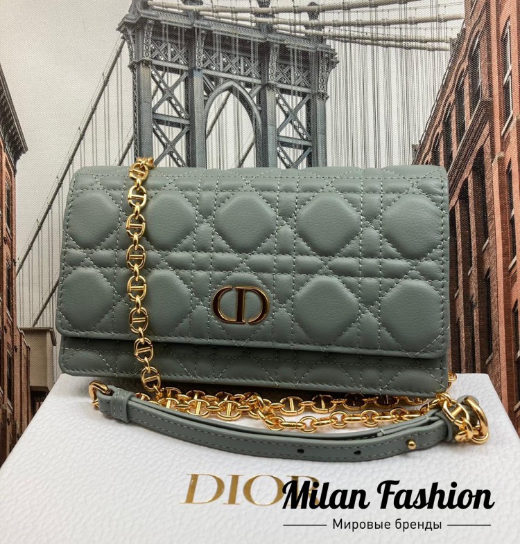 Сумка  Christian Dior V10937. Вид 1