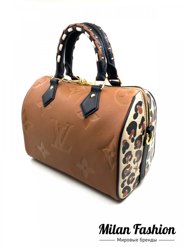 Сумка Louis Vuitton V10066. Вид 2