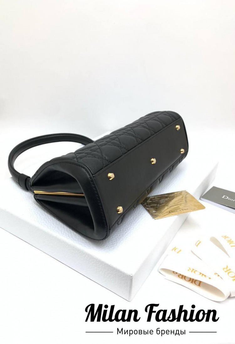 Сумка  Christian Dior V39505. Вид 3