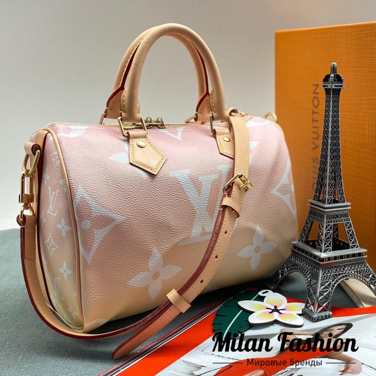 Сумка Louis Vuitton V7434. Вид 1