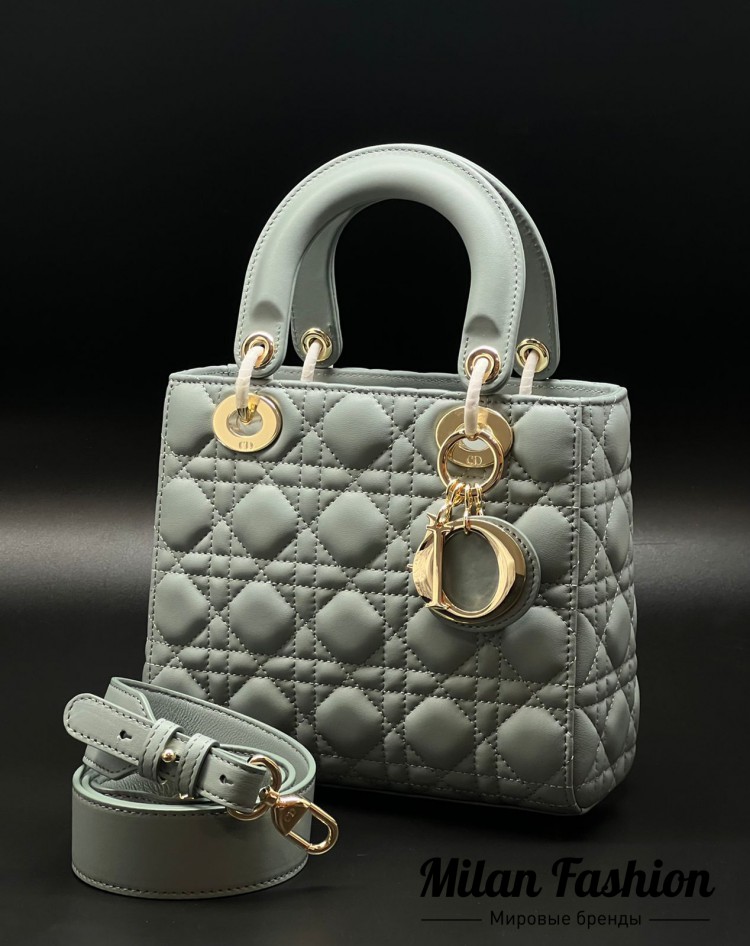 Сумка  Christian Dior V11367. Вид 1