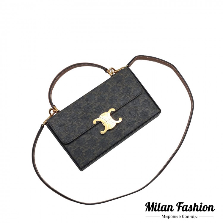 Сумка  Celine V24089. Вид 2