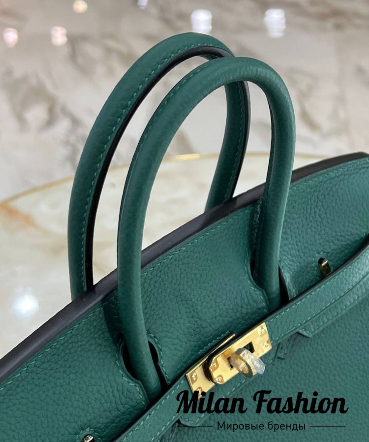 Сумка Birkin 25 Hermes V33529. Вид 3