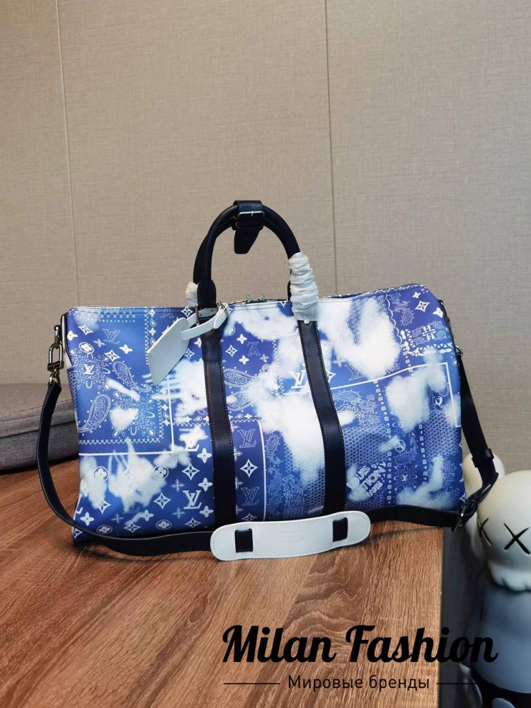 Сумка  Louis Vuitton V13647. Вид 1