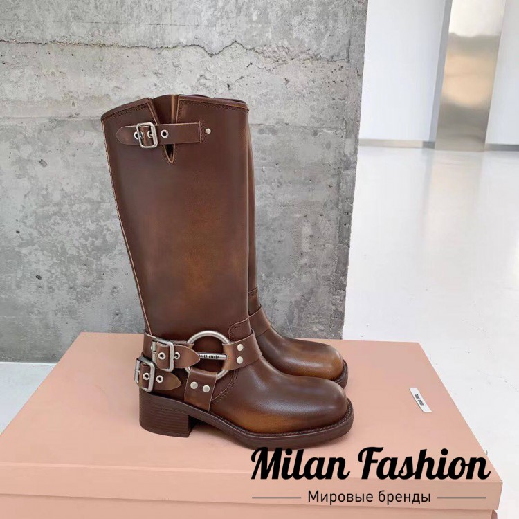Сапоги  Miu Miu V33584. Вид 3