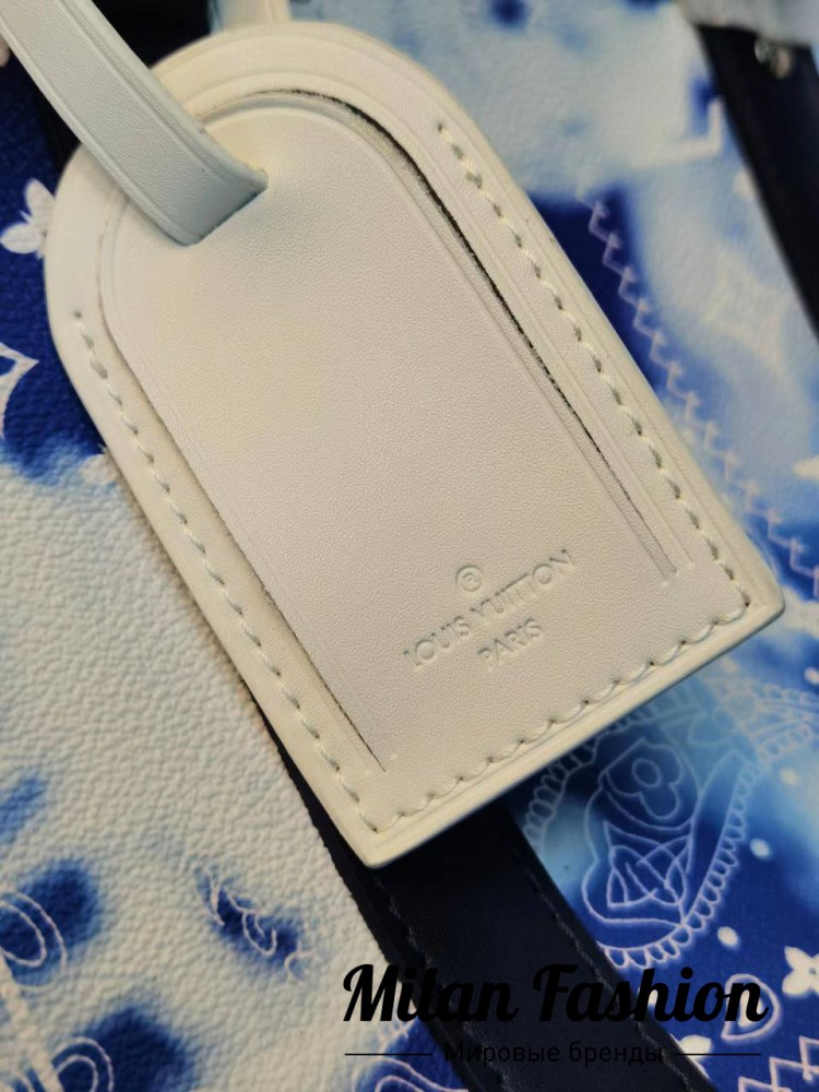 Сумка  Louis Vuitton V13647. Вид 2