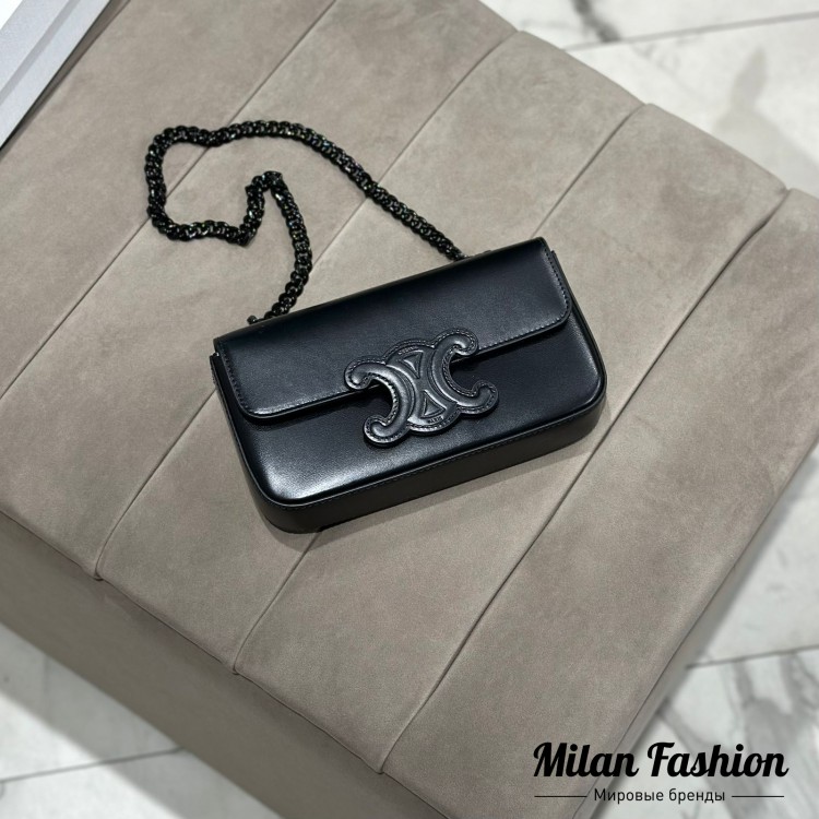 Сумка  Celine V33208. Вид 1