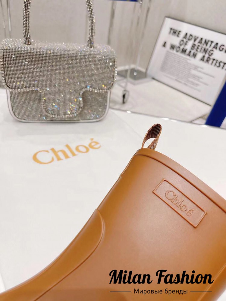 Ботинки  Chloe V10195. Вид 5