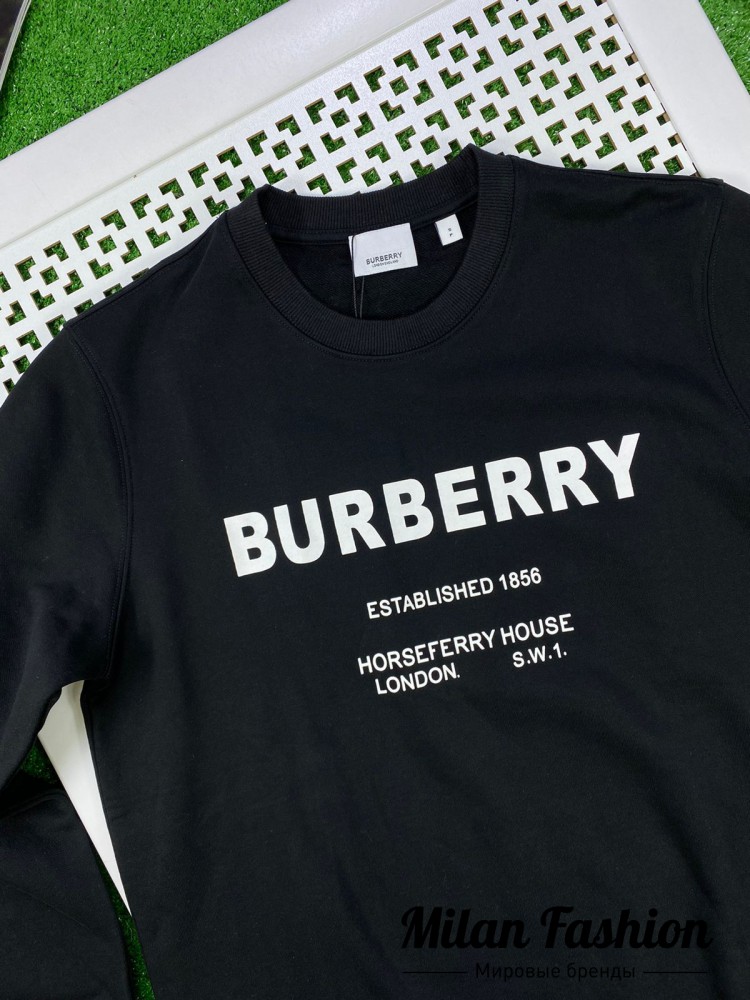 Свитшот  Burberry V10245. Вид 2