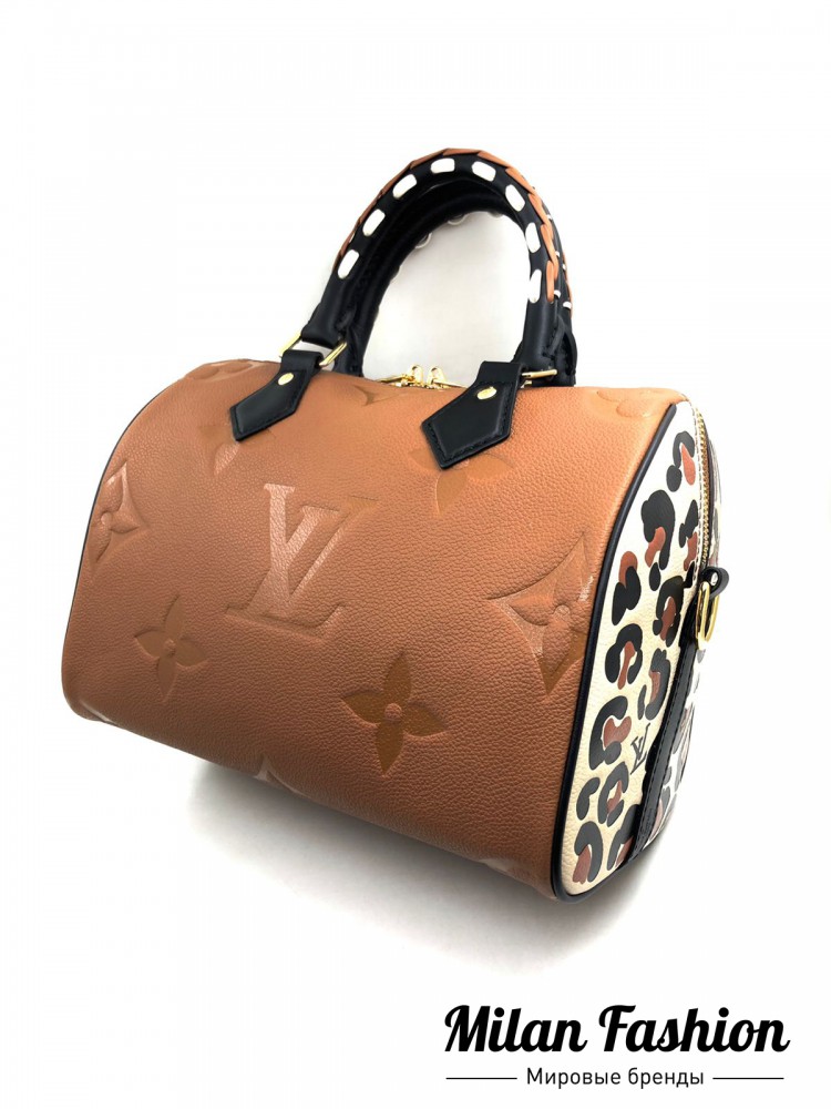 Сумка Louis Vuitton V10066. Вид 3