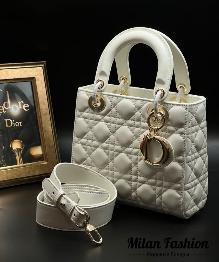 Сумка  Christian Dior V11365. Вид 1