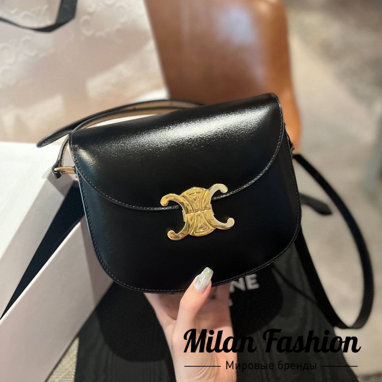 Сумка  Celine V14170. Вид 1