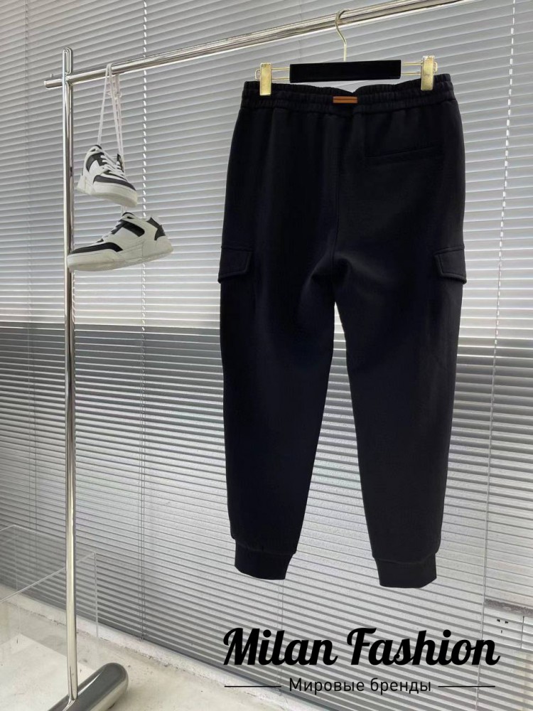 Брюки  ZEGNA V33670. Вид 2