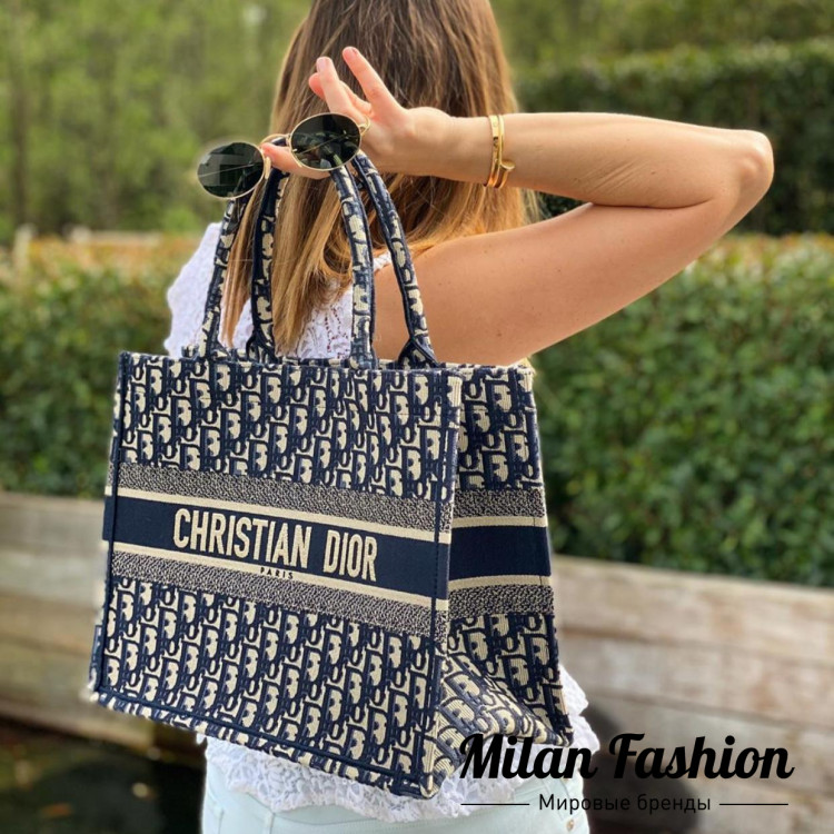 Сумка  Christian Dior ds1023. Вид 1