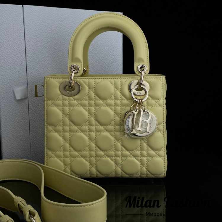 Сумка  Christian Dior V6851. Вид 2