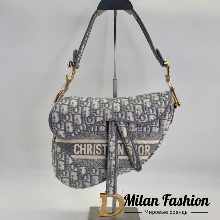 Сумка Saddle  Christian Dior V9651. Вид 1