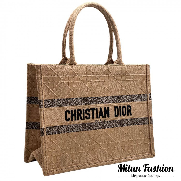 Сумка  Christian Dior V11103. Вид 2