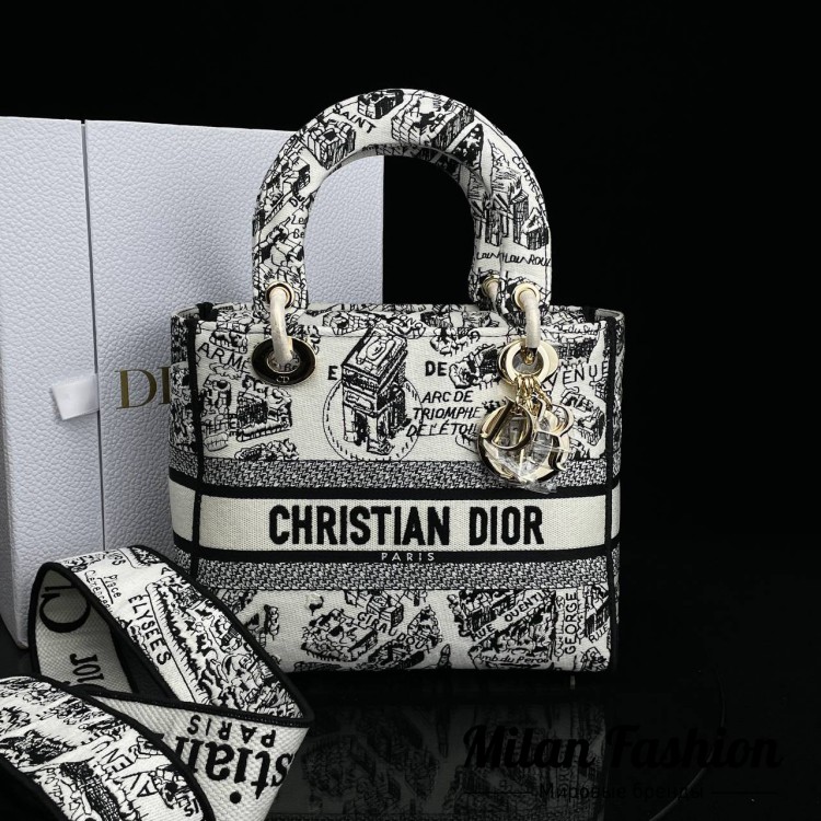 Сумка  Christian Dior V7781. Вид 1