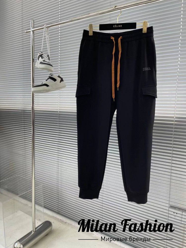 Брюки  ZEGNA V33670. Вид 1