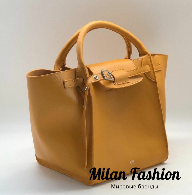 Сумка Celine v1866. Вид 1