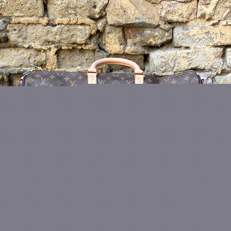 Сумка Louis Vuitton V2756. Вид 2