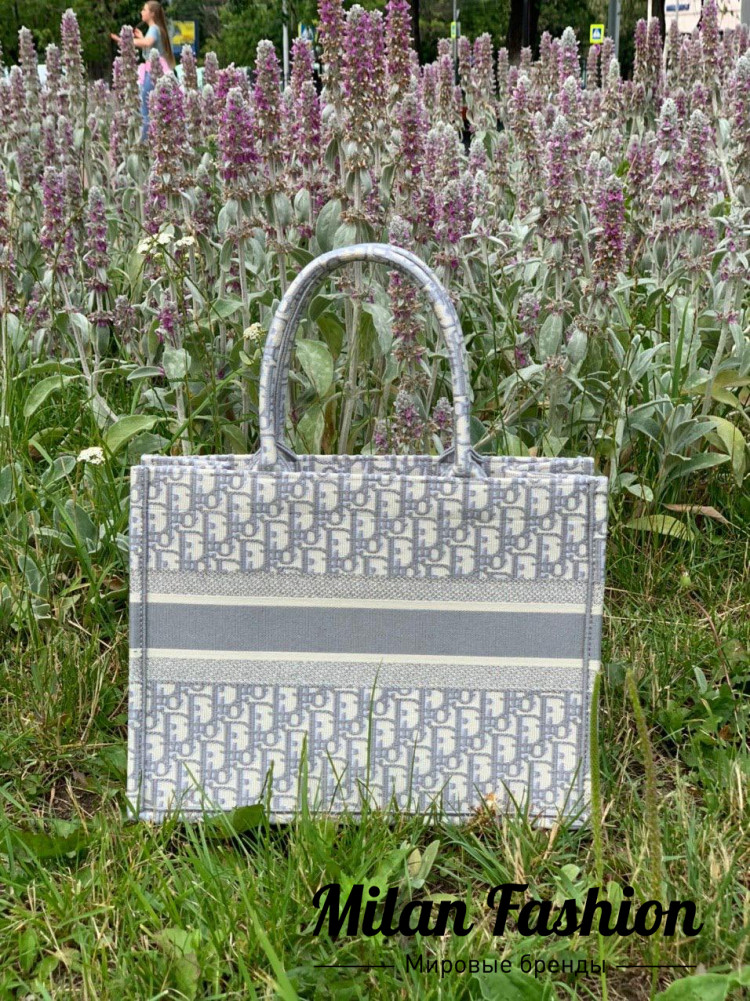 Сумка Book Tote mini Christian Dior V3165. Вид 2