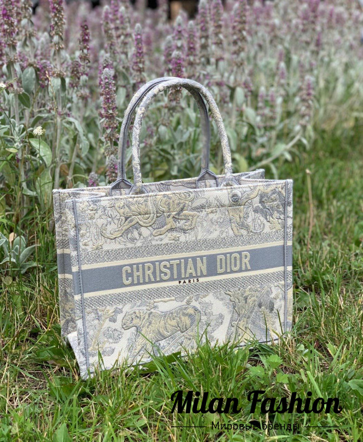 Сумка Book Tote mini Christian Dior V3166. Вид 1