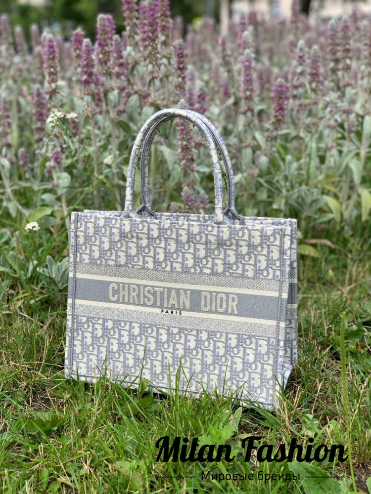 Сумка Book Tote mini Christian Dior V3165. Вид 1