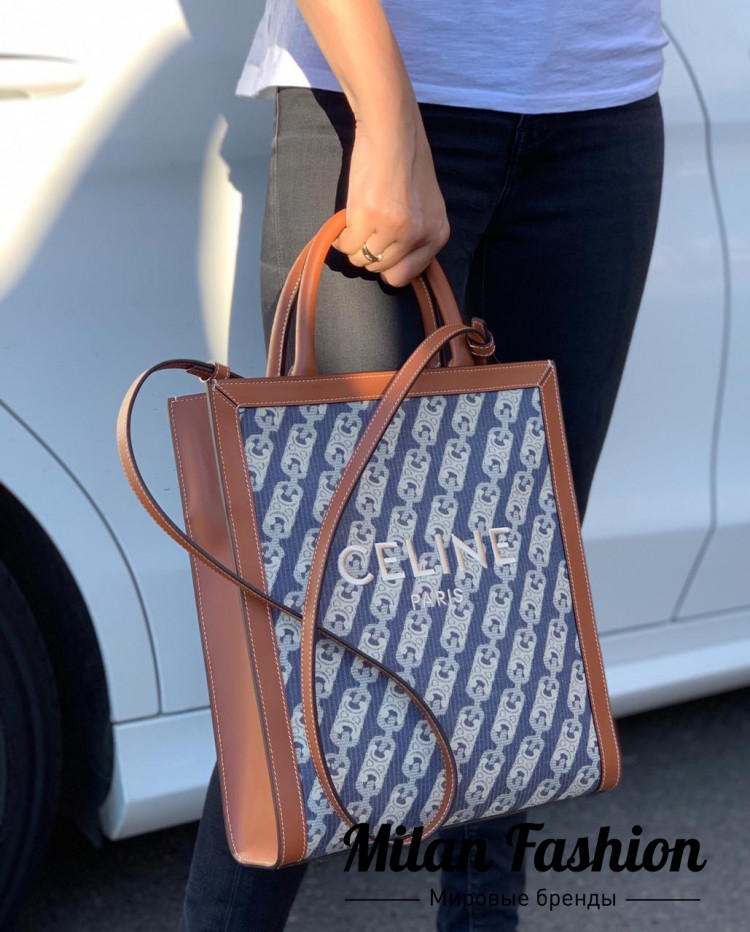 Сумка Celine V3517. Вид 1