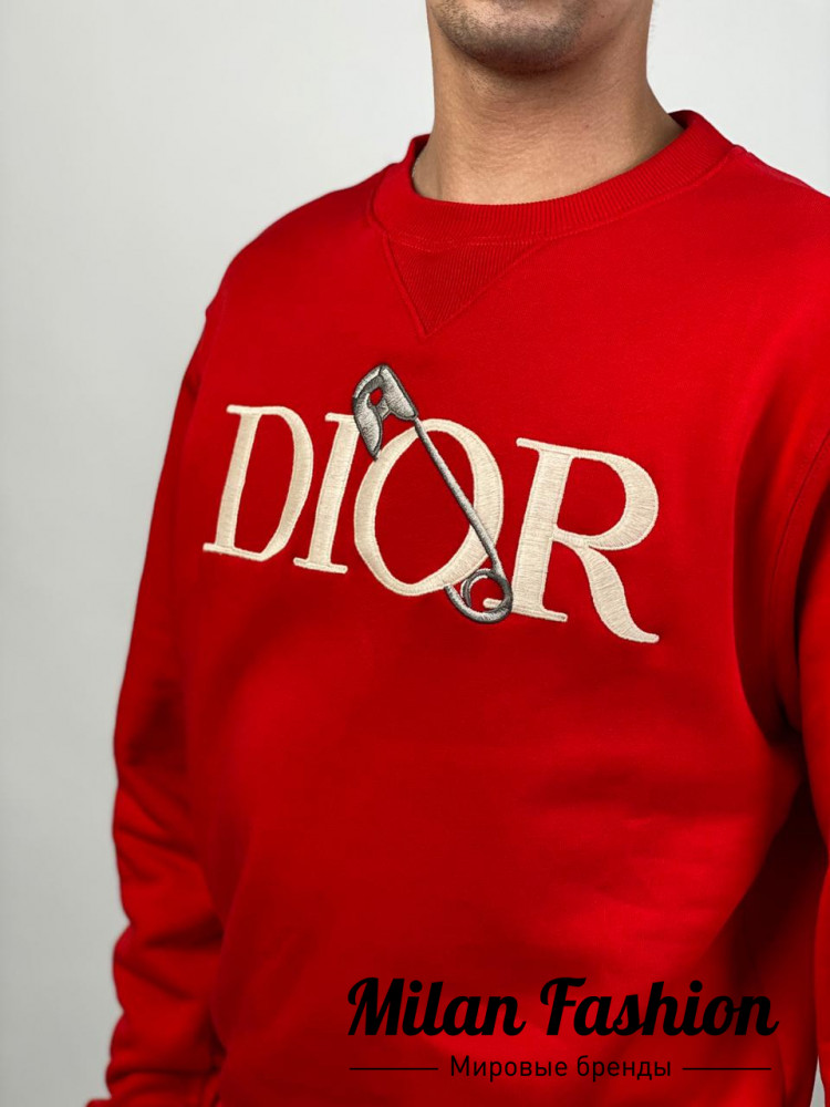 Толстовка Christian Dior V4467. Вид 2