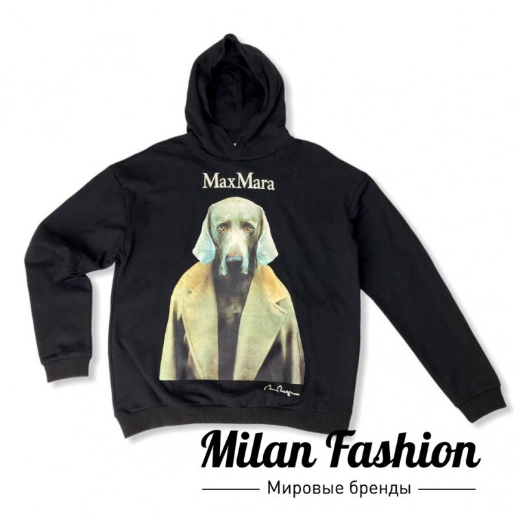 Худи  Max Mara V4545. Вид 1