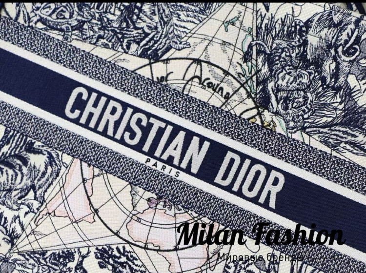 Сумка Book Tote Christian Dior v1359. Вид 3