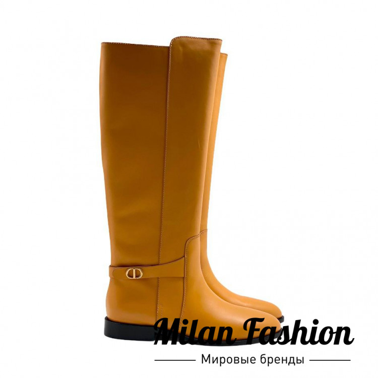 Сапоги  Christian Dior V5170. Вид 2